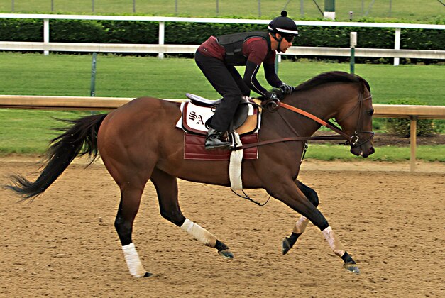 Exercise rider Umberto Gomez gallops Kentucky Derby runner-up Firing LIne at Churchill Downs in Louisville, Ky., Sunday, May 10, 2015. Firing Line will ship to Baltimore on Wednesday to run in the 140th Preakness Stakes on May 16.  (AP Photo/Garry Jones)