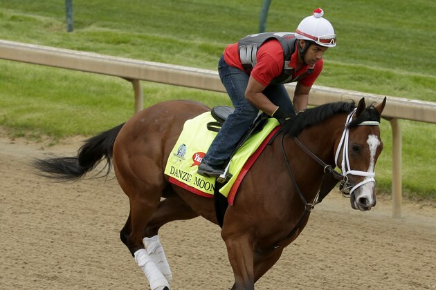 Exercise rider William Cano rides Kentucky Derby entrant Danzig Moon during a morning workout at Churchill Downs Thursday, April 30, 2015, in Louisville, Ky. (AP Photo/Charlie Riedel)