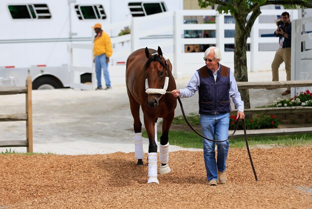 BALTIMORE, MD - MAY 13:  Trainer Bob Baffert walks Kentucky Derby winner American Pharoah to the barn after arriving in preparation for the 140th Preakness Stakes at Pimlico Race Course on May 13, 2015 in Baltimore, Maryland.  (Photo by Rob Carr/Getty Images)