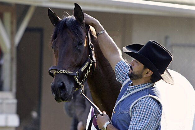 Kentucky Derby hopeful Firing Line gets a little special attention from assistant trainer Carlos Santamaria outside Barn 42 as he waits for his morning bath after a gallop at Churchill Downs in Louisville, Ky., Wednesday, April 29, 2015.  (AP Photo/Garry Jones)