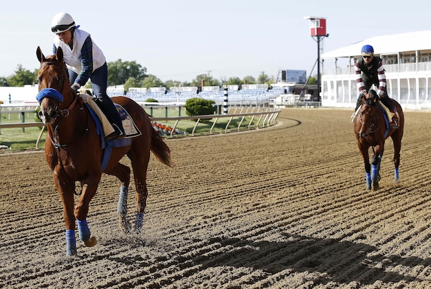 May 14, 2015; Baltimore, MD, USA; Dortmund (left) and Kentucky Derby winner American Pharoah (right) trot on the track during a workout for the 140th Preakness Stakes at Pimlico Race Course. Mandatory Credit: Geoff Burke-USA TODAY Sports