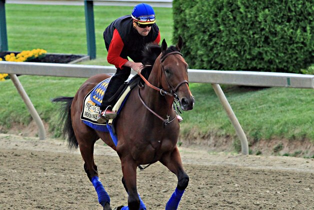 Exercise rider Jorge Alvarez gallops Preakness Stakes entrant American Pharoah at Pimlico Race Course in Baltimore, Friday, May 15, 2015.  (AP Photo/Garry Jones)