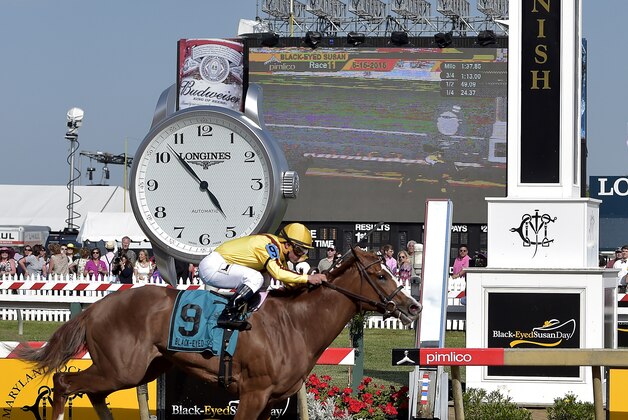 Javier Castellano rides Keen Pauline to a win during the Black-Eyed Susan horse race at Pimlico Race Course, Friday, May 15, 2015, in Baltimore. The 140th Preakness horse race takes place Saturday. (AP Photo/Mike Stewart)