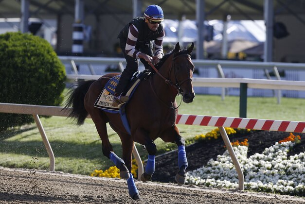 May 14, 2015; Baltimore, MD, USA; Kentucky Derby winner American Pharoah runs on the track during a workout for the 140th Preakness Stakes at Pimlico Race Course. Mandatory Credit: Geoff Burke-USA TODAY Sports