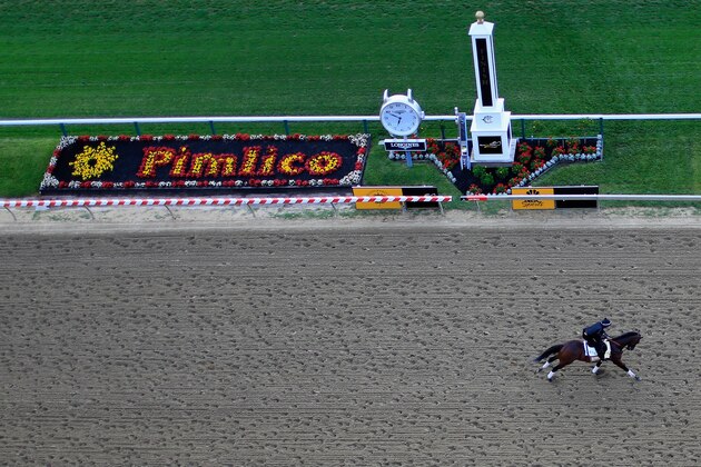 BALTIMORE, MD - MAY 15:  Firing Line trains on the track for the 140th Preakness Stakes at Pimlico Race Course on May 15, 2015 in Baltimore, Maryland.  (Photo by Rob Carr/Getty Images)