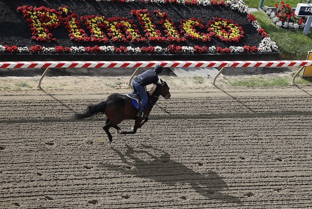 May 12, 2015; Baltimore, MD, USA; A thoroughbred works out on the track at Pimlico Race Course, site of the 140th Preakness Stakes. Mandatory Credit: Geoff Burke-USA TODAY Sports