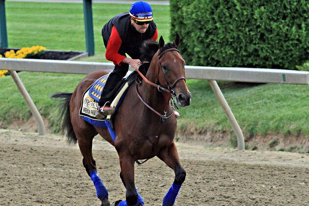 Exercise rider Jorge Alvarez gallops Preakness Stakes entrant American Pharoah at Pimlico Race Course in Baltimore, Friday, May 15, 2015.  (AP Photo/Garry Jones)