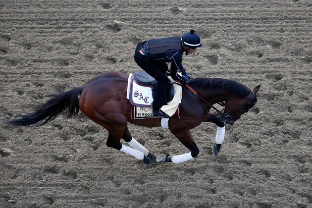 BALTIMORE, MD - MAY 15:  Firing Line trains on the track for the 140th Preakness Stakes at Pimlico Race Course on May 15, 2015 in Baltimore, Maryland.  (Photo by Rob Carr/Getty Images)