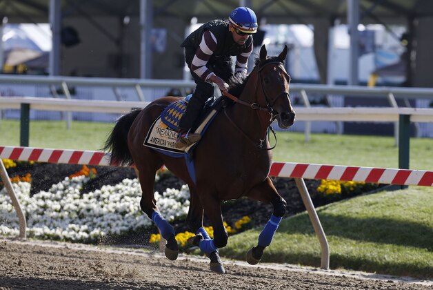 May 14, 2015; Baltimore, MD, USA; Kentucky Derby winner American Pharoah runs on the track during a workout for the 140th Preakness Stakes at Pimlico Race Course. Mandatory Credit: Geoff Burke-USA TODAY Sports