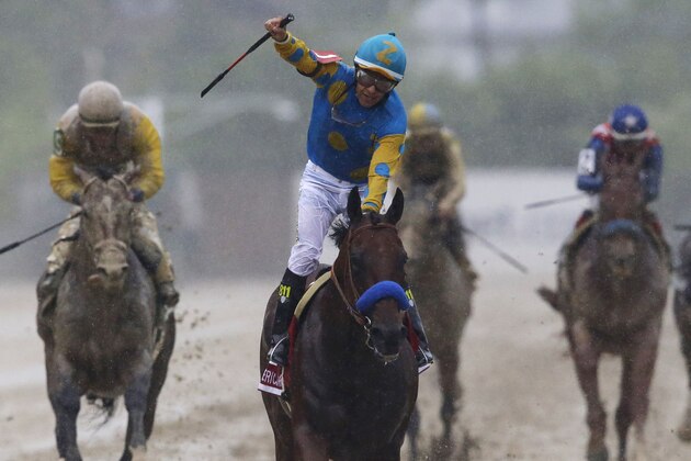 American Pharoah, ridden by Victor Espinoza, center, celebrates after winning the 140th Preakness Stakes horse race at Pimlico Race Course, Saturday, May 16, 2015, in Baltimore. (AP Photo/Patrick Semansky)