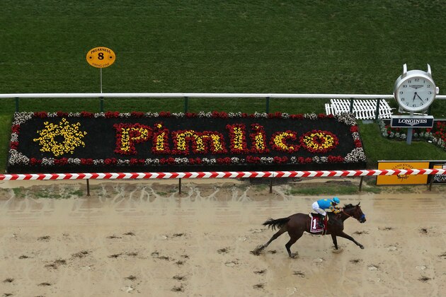 BALTIMORE, MD - MAY 16:  American Pharoah ridden by Victor Espinoza races towards the finish line to win the 140th running of the Preakness Stakes at Pimlico Race Course on May 16, 2015 in Baltimore, Maryland.  (Photo by Maddie Meyer/Getty Images)