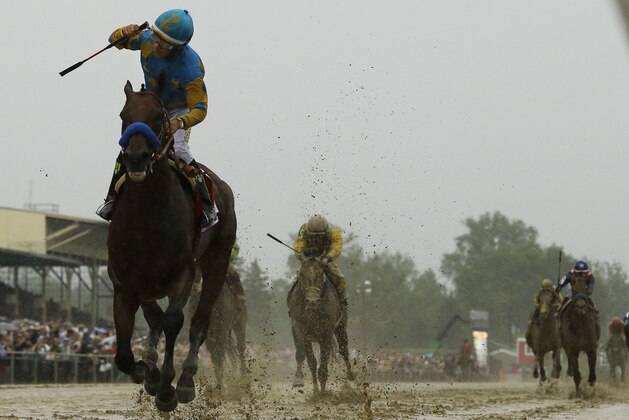 American Pharoah, ridden by Victor Espinoza  wins the 140th Preakness Stakes horse race at Pimlico Race Course, Saturday, May 16, 2015, in Baltimore.  (AP Photo/Matt Slocum)