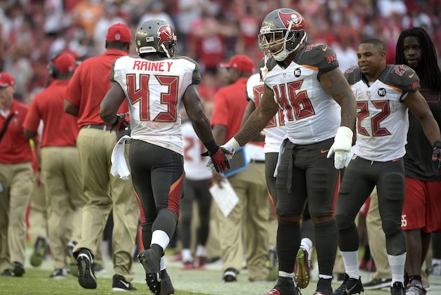 Tampa Bay Buccaneers running back Bobby Rainey (43) is congratulated by fullback Jorvorskie Lane (46) and running back Doug Martin (22) on the sideline after scoring a touchdown during the second half of an NFL football game against the Carolina Panthers in Tampa, Fla., Sunday, Sept. 7, 2014.(AP Photo/Phelan M. Ebenhack)