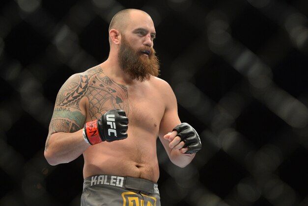 Dec 6, 2014; Las Vegas, NV, USA; Travis Browne (red) and Brendan Schaub (blue) during UFC 181 at Madalay Bay Events Center. Browne won via first round TKO. Mandatory Credit: Joe Camporeale-USA TODAY Sports