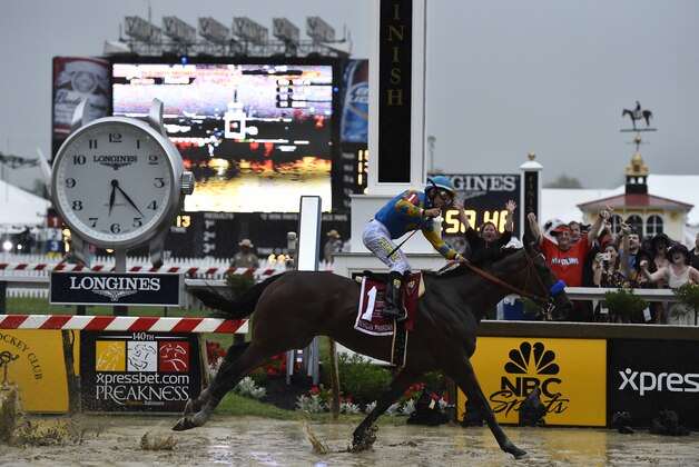 American Pharoah, ridden by Victor Espinoza, wins the 140th Preakness Stakes horse race at Pimlico Race Course, Saturday, May 16, 2015, in Baltimore. (AP Photo/Mike Stewart)