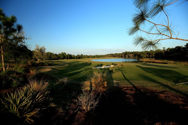 BRADENTON, FL - MARCH 18:  A view from behind the green on the par 5 17th hole at the Concession Golf Club on March 18, 2010 in Bradenton, Florida.  (Photo by David Cannon/Getty Images)