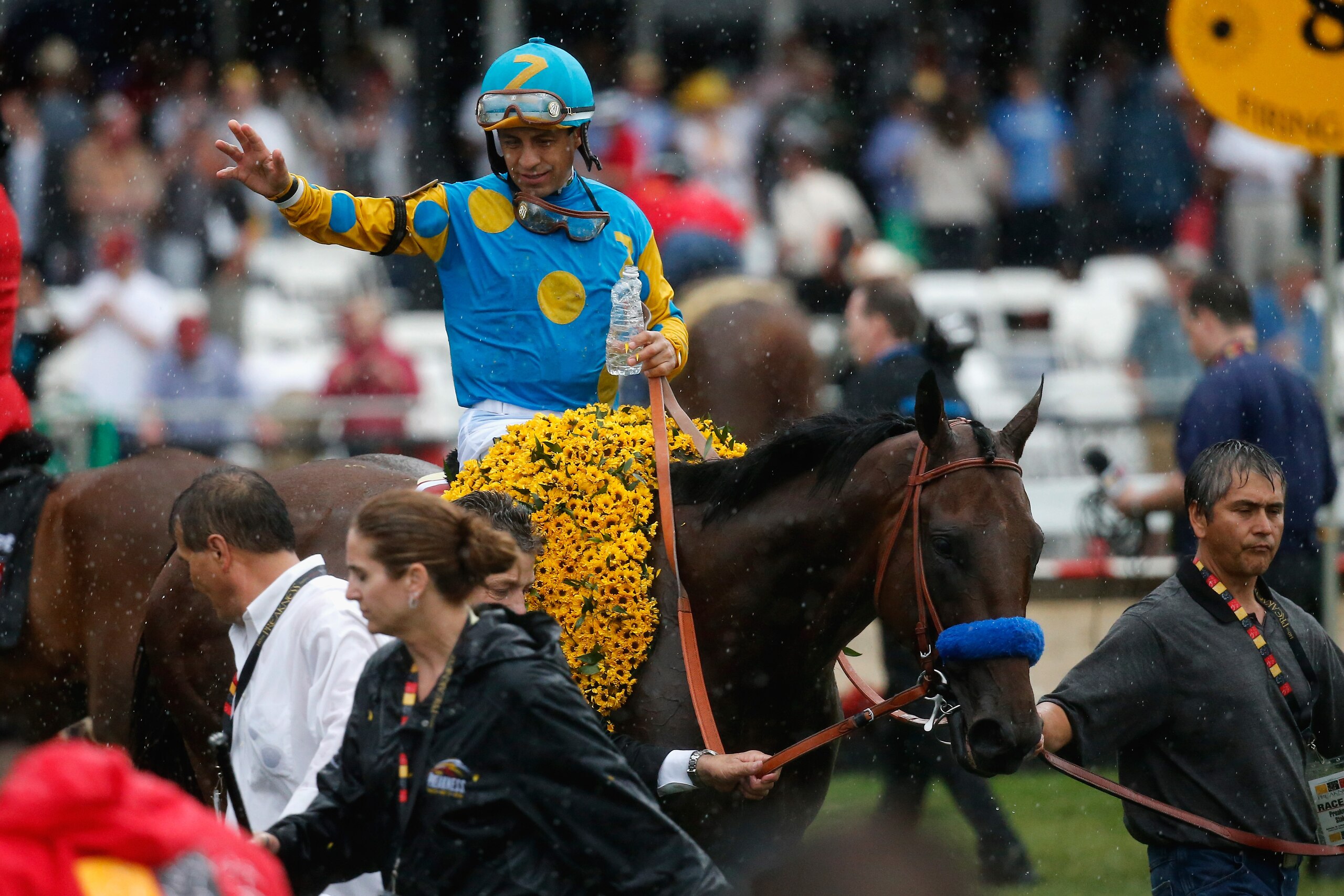 BALTIMORE, MD - MAY 16:  Jockey Victor Espinoza celebrates aboard American Pharoah #1 after winning the 140th running of the Preakness Stakes at Pimlico Race Course on May 16, 2015 in Baltimore, Maryland.  (Photo by Rob Carr/Getty Images)