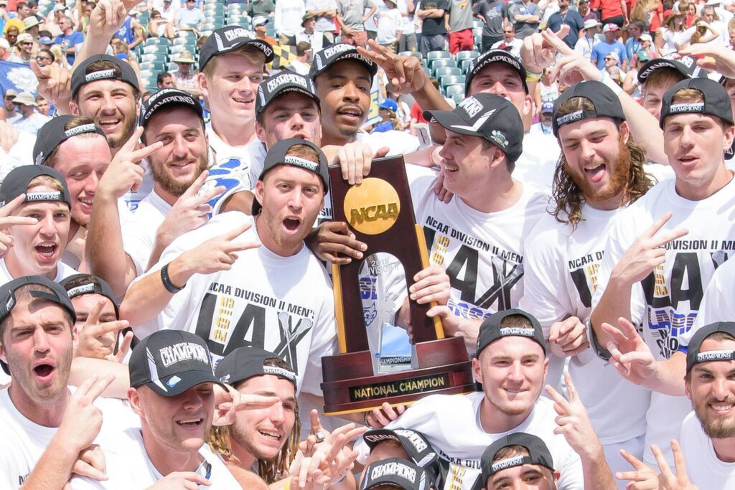 Limestone lacrosse
