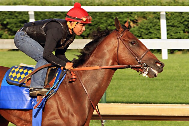Jockey Martin Garcia rides Kentucky Derby and Preakness Stakes winner American Pharoah during a morning workout at Churchill Downs in Louisville, Ky., Tuesday, May 26, 2015. American Pharoah is preparing for a start in the Belmont Stakes in New York on June 6.  (AP Photo/Garry Jones)
