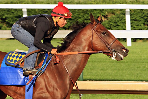 Jockey Martin Garcia rides Kentucky Derby and Preakness Stakes winner American Pharoah during a morning workout at Churchill Downs in Louisville, Ky., Tuesday, May 26, 2015. American Pharoah is preparing for a start in the Belmont Stakes in New York on June 6.  (AP Photo/Garry Jones)