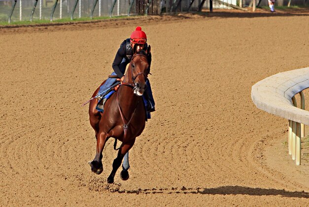 Ridden by jockey Martin Garcia, Kentucky Derby and Preakness Stakes winner American Pharoah begins a timed workout at Churchill Downs in Louisville, Ky., Tuesday, May 26, 2015. American Pharoah is preparing for a start in the Belmont Stakes in New York on June 6.  (AP Photo/Garry Jones)