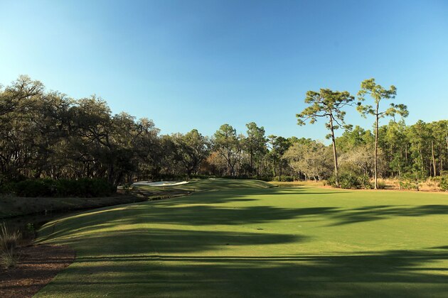 BRADENTON, FL - MARCH 18:  The par 4, 8th hole at the Concession Golf Club on March 18, 2010 in Bradenton, Florida.  (Photo by David Cannon/Getty Images)