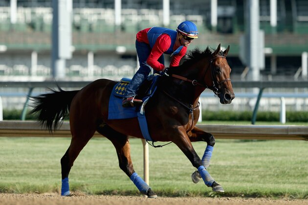 LOUISVILLE, KY - MAY 30:  American Pharoah trains in preparation of the Belmont Stakes at Churchill Downs on May 30, 2015 in Louisville, Kentucky.  (Photo by Andy Lyons/Getty Images)