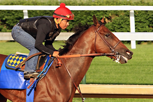 Jockey Martin Garcia rides Kentucky Derby and Preakness Stakes winner American Pharoah during a morning workout at Churchill Downs in Louisville, Ky., Tuesday, May 26, 2015. American Pharoah is preparing for a start in the Belmont Stakes in New York on June 6. (AP Photo/Garry Jones) Jockey Martin Garcia rides Kentucky Derby and Preakness Stakes winner American Pharoah during a morning workout at Churchill Downs in Louisville, Ky., Tuesday, May 26, 2015. American Pharoah is preparing for a start in the Belmont Stakes in New York on June 6. (AP Photo/Garry Jones)