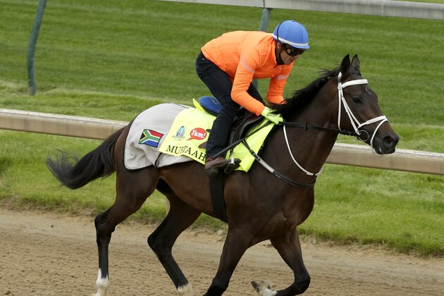 Jockey Christophe Soumillon rides Kentucky Derby hopeful Mubtaahij during a workout at Churchill Downs Thursday, April 30, 2015, in Louisville, Ky. (AP Photo/Charlie Riedel)