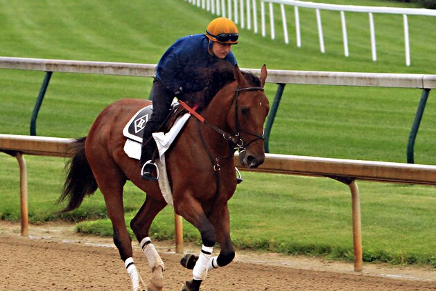 Belmont Stakes hopeful Keen Ice, ridden by exercise rider Faustino Aguilar, gallops at Churchill Downs in Louisville, Ky., Monday, June 1, 2015 as the Dale Romans-trainee prepares for the Belmont Stakes in New York on June 6.  (AP Photo/Garry Jones)