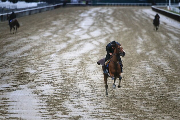 An exercise rider jogs a race horse on the wet track during a workout at Belmont Park, Monday, June 1, 2015, in Elmont, N.Y. Kentucky Derby and Preakness winner American Pharaoh will try for the Triple Crown during Saturday's 147th running of the Belmont Stakes horse race. (AP Photo/Julie Jacobson)