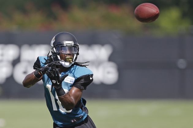 Jacksonville Jaguars wide receiver Ace Sanders catches a pass during NFL football training camp, Monday, July 29, 2013, in Jacksonville, Fla. (AP Photo/John Raoux)