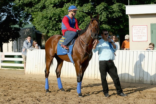 LOUISVILLE, KY - MAY 30:  American Pharoah waits to go on the track for training in preparation of the Belmont Stakes at Churchill Downs on May 30, 2015 in Louisville, Kentucky.  (Photo by Andy Lyons/Getty Images)