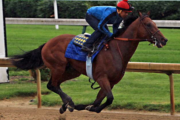 Triple Crown hopeful American Pharoah, ridden by jockey Martin Garcia, powers through his final timed workout at Churchill Downs in Louisville, Ky., Monday, June 1, 2015. The Kentucky Derby and Preakness Stakes winner will head to New York for Saturday's Belmont Stakes on Tuesday. (AP Photo/Garry Jones) Triple Crown hopeful American Pharoah, ridden by jockey Martin Garcia, powers through his final timed workout at Churchill Downs in Louisville, Ky., Monday, June 1, 2015. The Kentucky Derby and Preakness Stakes winner will head to New York for Saturday's Belmont Stakes on Tuesday. (AP Photo/Garry Jones)