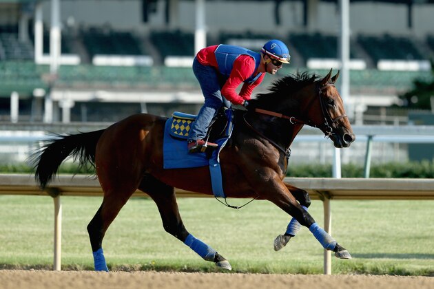 LOUISVILLE, KY - MAY 30:  American Pharoah trains in preparation of the Belmont Stakes at Churchill Downs on May 30, 2015 in Louisville, Kentucky.  (Photo by Andy Lyons/Getty Images)