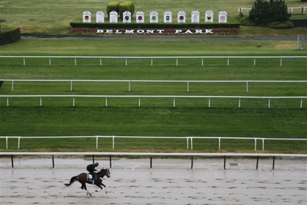 Tale of Verve works out on the main track at Belmont Park, Tuesday, June 2, 2015, in Elmont, N.Y. Tale of Verve is expect to run Saturday, June 6, in the Belmont Stakes horse race, where Kentucky Derby and Preakness winner American Pharoah will try for a Triple Crown. (AP Photo/Julie Jacobson)