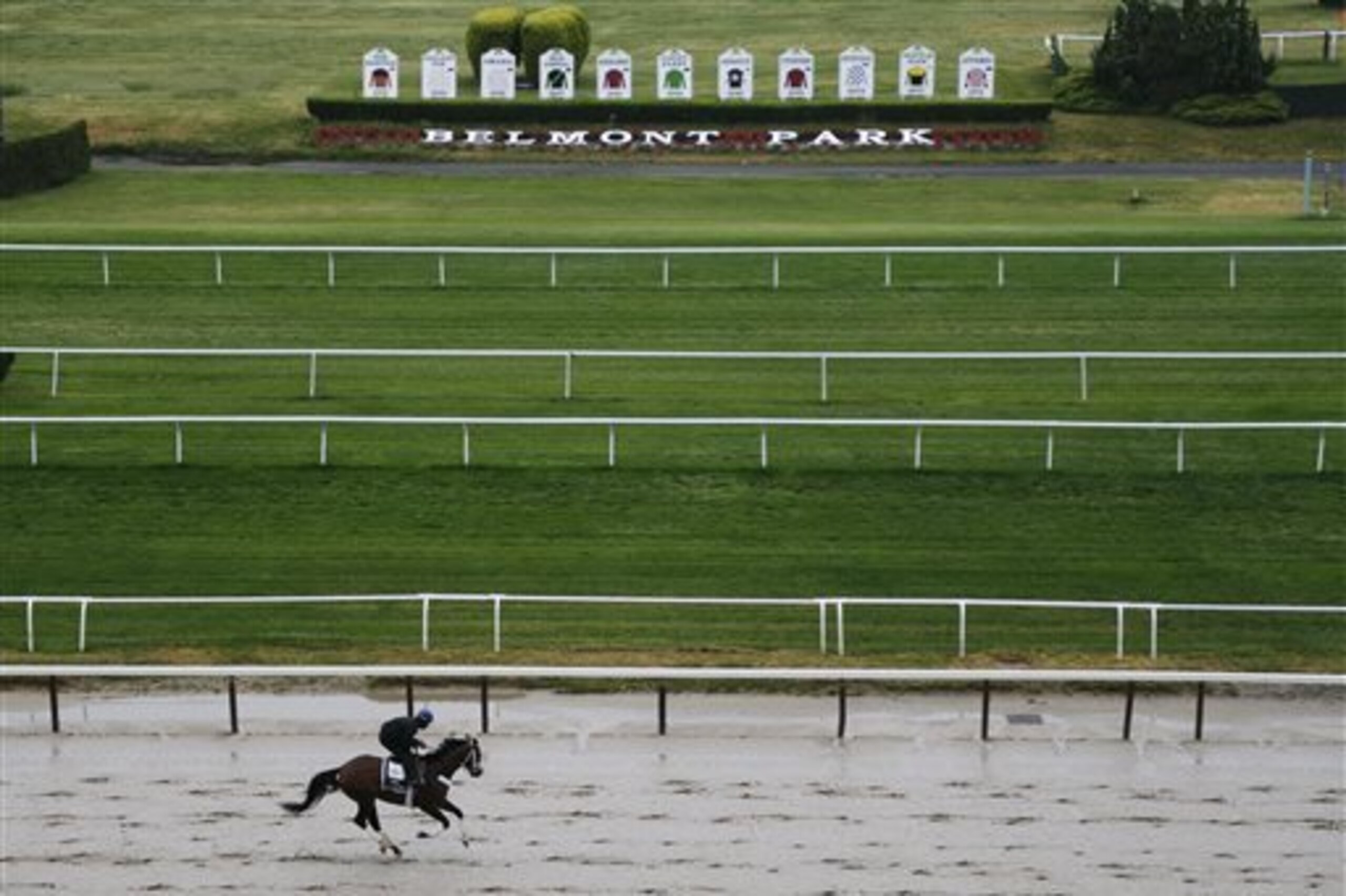 Tale of Verve works out on the main track at Belmont Park, Tuesday, June 2, 2015, in Elmont, N.Y. Tale of Verve is expect to run Saturday, June 6, in the Belmont Stakes horse race, where Kentucky Derby and Preakness winner American Pharoah will try for a Triple Crown. (AP Photo/Julie Jacobson)