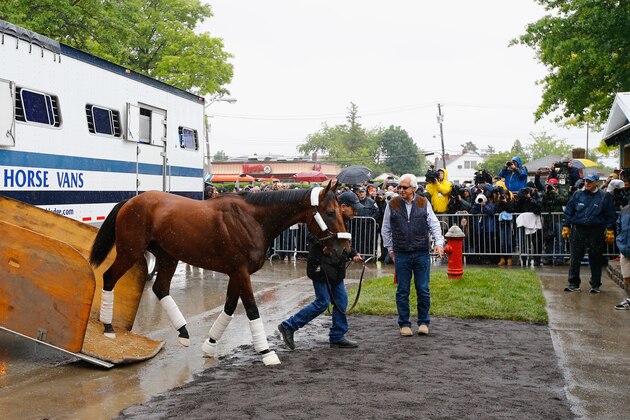 ELMONT, NY - JUNE 02:  American Pharoah arrives at his barn with trainer Bob Baffert at Belmont Park on June 2, 2015 in Elmont, New York.  (Photo by Al Bello/Getty Images)