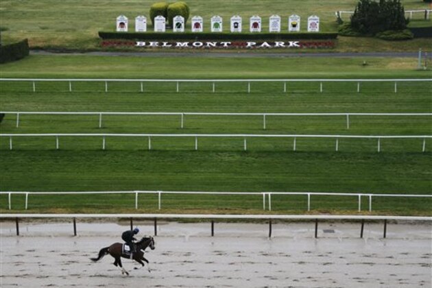 Tale of Verve works out on the main track at Belmont Park, Tuesday, June 2, 2015, in Elmont, N.Y. Tale of Verve is expect to run Saturday, June 6, in the Belmont Stakes horse race, where Kentucky Derby and Preakness winner American Pharoah will try for a Triple Crown. (AP Photo/Julie Jacobson)