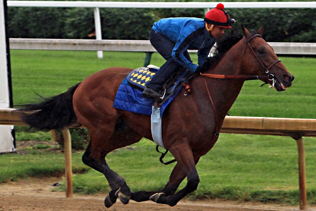 Triple Crown hopeful American Pharoah, ridden by jockey Martin Garcia, powers through his final timed workout at Churchill Downs in Louisville, Ky., Monday, June 1, 2015. The Kentucky Derby and Preakness Stakes winner will head to New York for Saturday's Belmont Stakes on Tuesday.  (AP Photo/Garry Jones)