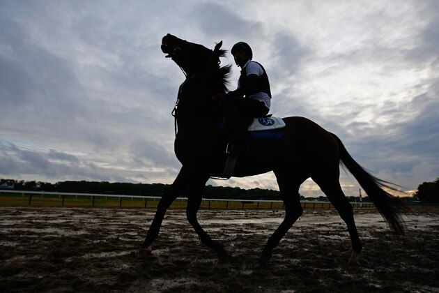ELMONT, NY - JUNE 03:  A sillouette of a horse and rider during training at Belmont Park on June 3, 2015 in Elmont, New York.  (Photo by Al Bello/Getty Images)