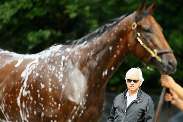 ELMONT, NY - JUNE 03:  Head trainer Bob Baffert,   looks on as American Pharoah gets bathed after training at Belmont Park on June 3, 2015 in Elmont, New York.  (Photo by Al Bello/Getty Images)