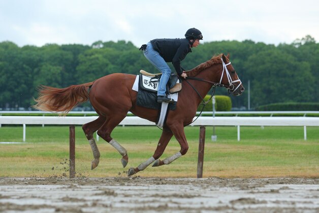 Jun 3, 2015; Elmont, NY, USA; Madefromlucky trains during workouts for the 2015 Belmont Stakes at Belmont Park. Mandatory Credit: Brad Penner-USA TODAY Sports