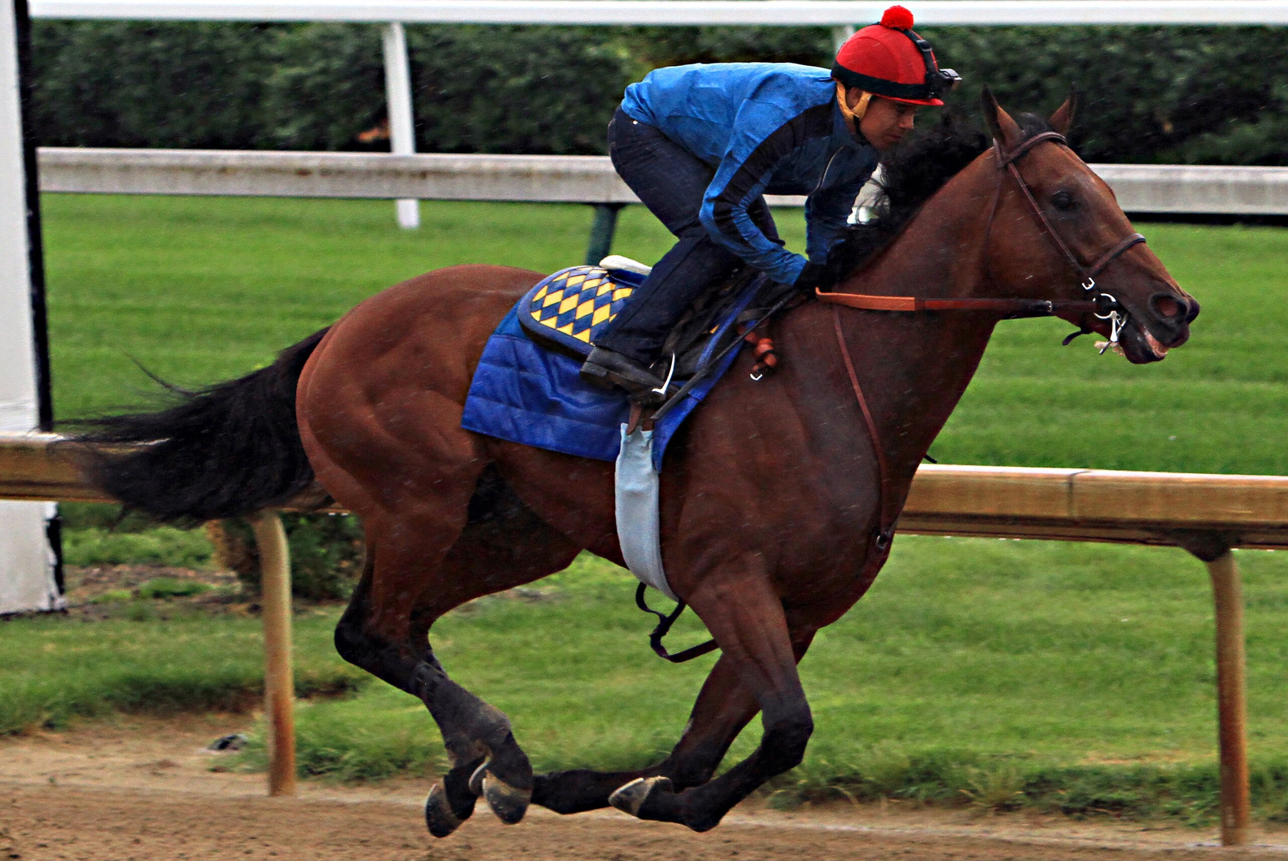 Triple Crown hopeful American Pharoah, ridden by jockey Martin Garcia, powers through his final timed workout at Churchill Downs in Louisville, Ky., Monday, June 1, 2015. The Kentucky Derby and Preakness Stakes winner will head to New York for Saturday's Belmont Stakes on Tuesday.  (AP Photo/Garry Jones)