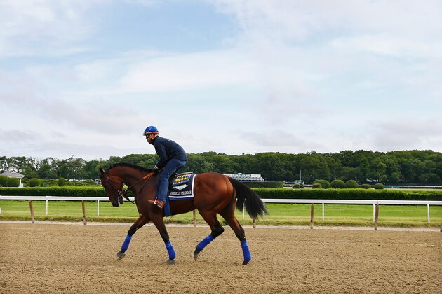 ELMONT, NY - JUNE 03:  Jorge Alvarez up, rides American Pharoah during training at Belmont Park on June 3, 2015 in Elmont, New York.  (Photo by Al Bello/Getty Images)