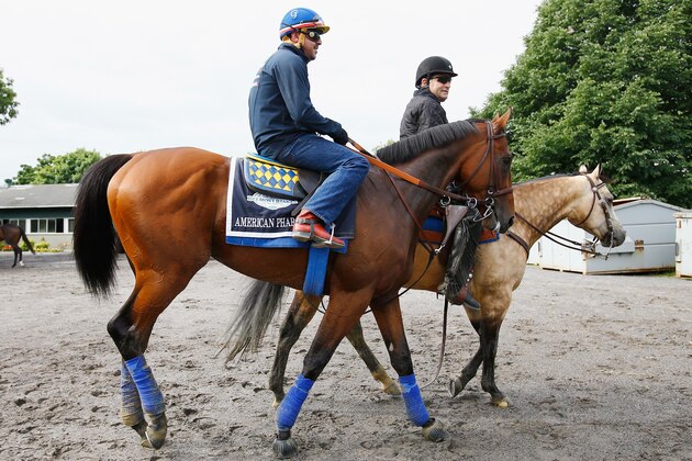 ELMONT, NY - JUNE 03: Jorge Alvarez up, rides American Pharoah as assistant trainer Jimmy Barnes rides along side during training at Belmont Park on June 3, 2015 in Elmont, New York. (Photo by Al Bello/Getty Images) ELMONT, NY - JUNE 03: Jorge Alvarez up, rides American Pharoah as assistant trainer Jimmy Barnes rides along side during training at Belmont Park on June 3, 2015 in Elmont, New York. (Photo by Al Bello/Getty Images)