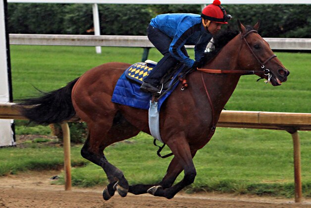 Triple Crown hopeful American Pharoah, ridden by jockey Martin Garcia, powers through his final timed workout at Churchill Downs in Louisville, Ky., Monday, June 1, 2015. The Kentucky Derby and Preakness Stakes winner will head to New York for Saturday's Belmont Stakes on Tuesday.  (AP Photo/Garry Jones)