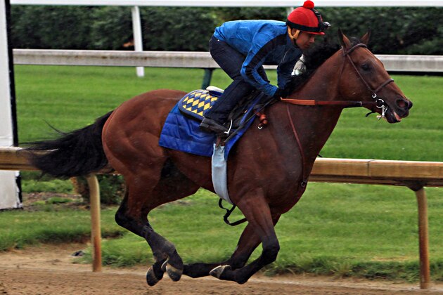 Triple Crown hopeful American Pharoah, ridden by jockey Martin Garcia, powers through his final timed workout at Churchill Downs in Louisville, Ky., Monday, June 1, 2015. The Kentucky Derby and Preakness Stakes winner will head to New York for Saturday's Belmont Stakes on Tuesday.  (AP Photo/Garry Jones)