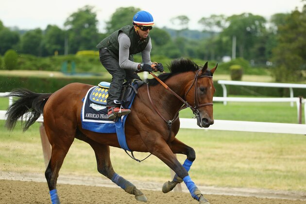 ELMONT, NY - JUNE 04: Jorge Alvarez up, rides American Pharoah during training at Belmont Park on June 4, 2015 in Elmont, New York. (Photo by Al Bello/Getty Images) ELMONT, NY - JUNE 04: Jorge Alvarez up, rides American Pharoah during training at Belmont Park on June 4, 2015 in Elmont, New York. (Photo by Al Bello/Getty Images)