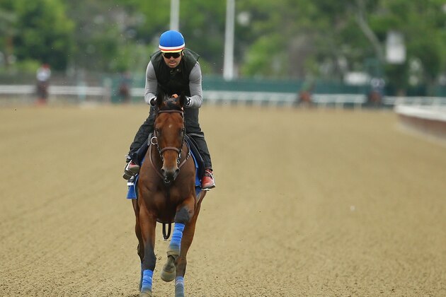ELMONT, NY - JUNE 04:  Jorge Alvarez up, rides American Pharoah during training at Belmont Park on June 4, 2015 in Elmont, New York.  (Photo by Al Bello/Getty Images)